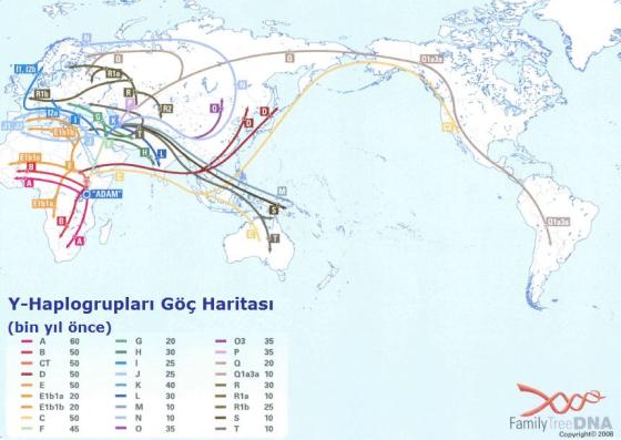 Y-Haplogrubu_Göç_Haritası_ftDNA